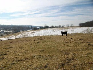 0 N Lee Hwy Unit 183261, Raphine, VA 24472