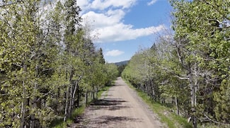 Lot 1 TBD Harris Rd, Anaconda, MT 59711