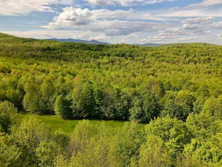 000 Rabbit Run Rd, Fayston, VT 05673