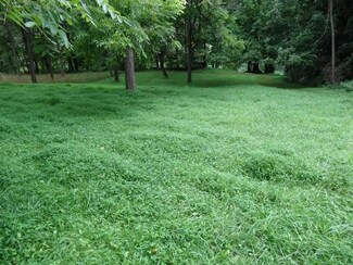 0 River Rd Unit 13-1166, Ronceverte, WV 24970