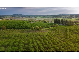 42680 SW Gaston Rd, Gaston, OR 97119