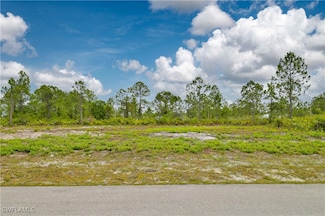 317 Bradley Ave, Lehigh Acres, FL 33974