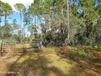 160 Edgemere Dr, Georgetown, FL 32139