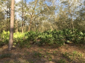 0 Unassigned Lot 1 Unit 1030206, Interlachen, FL 32148