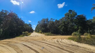 0 Neilsen Ave Unit 25581217, Interlachen, FL 32148