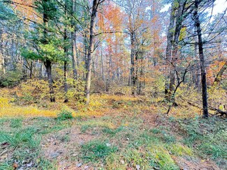 7.32AC E 58th St, Brooks Township, MI 49337