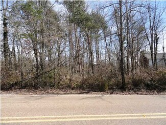 103 S Forest Ave, Lookout Mountain, TN 37350