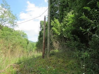 00 Ellijay Rd, Franklin, NC 28734