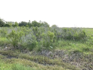 0 County Road 595, Angleton, TX 77515