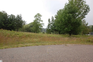 0 Arthur Ct Unit 1926540, West Branch Township, MI 48661