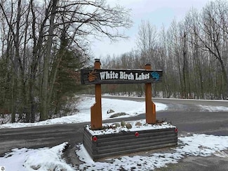 Lot 40 Squirrel Run, Lincoln Township, MI 48622