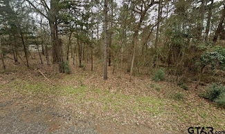 129 Susan Dr, Shadybrook, TX 75757