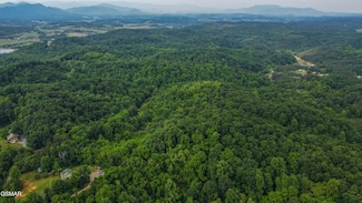 0 Looney Rd Unit 304968, Parrottsville, TN 37843