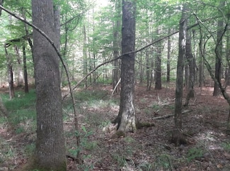 6616 Blackwater Rd, Virginia Beach, VA 23457