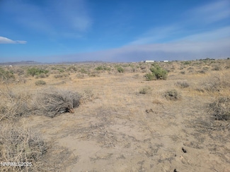 3690 Highway 95a, Fernley, NV 89408