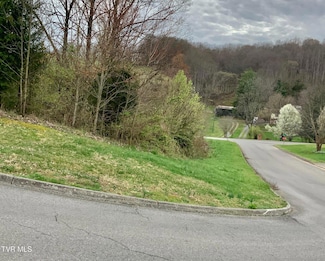 13 Highland Meadows Dr, Blountville, TN 37617