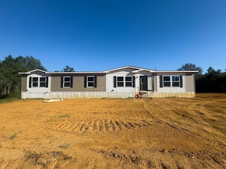 76 Ccc Rd, Perkinston, MS 39573