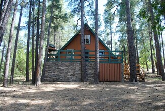 1354 Mossy Trail, Mormon Lake, AZ 86038