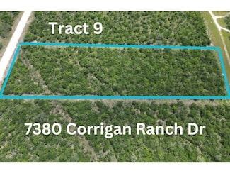 7380 Corrigan Ranch Drive- Tract 9, Skidmore, TX 78389