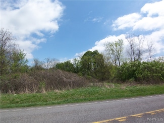 0 Pearl & Wortendyke Rd Unit B1605288, Batavia-Town, NY 14020