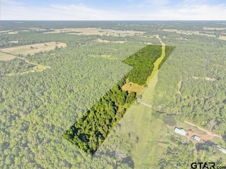 545 County Road 4224, Troup, TX 75789