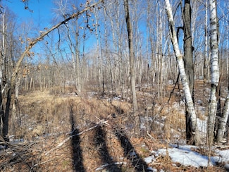 XXXX Meadow Lake Rd SW, Meadow Brook Township, MN 56466