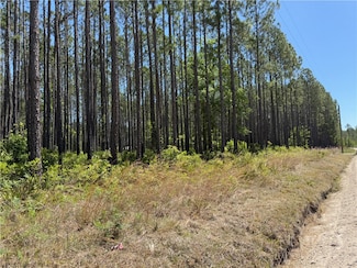 8.84 Strickland Rd, Waycross, GA 31503
