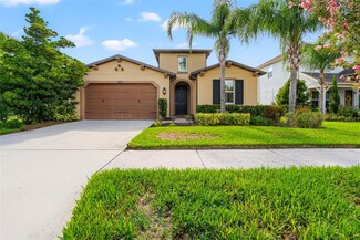 4526 Esperanza Ct, Wesley Chapel, FL 33543