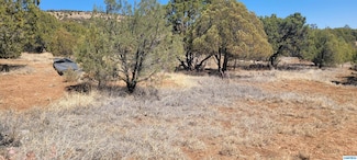 10 Mule Shoe Rd, Hanover, NM 88041