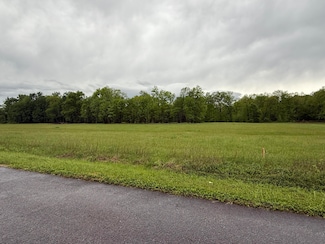 Tract 3B Highway 2141, Stanford, KY 40484