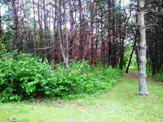 2.76 Acres Sumac Cir, Amherst, WI 54406