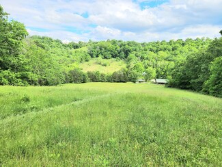 164 Cooper Branch Rd, Mulberry, TN 37359