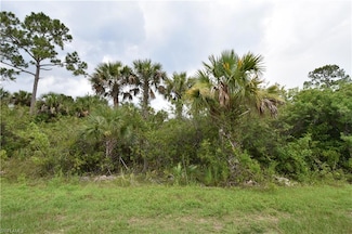 0 36th Ave SE Unit 225056425, Naples, FL 34117