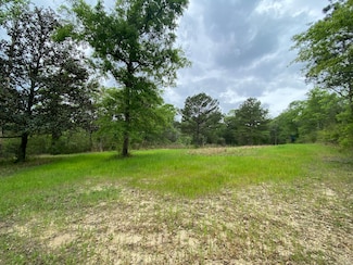 0 Lonnie Walker Rd Unit 20035157, Citronelle, AL 36522