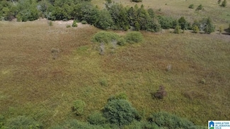 0 County Road 43 Unit 1 21430609, Prattville, AL 36067