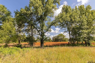 200 Coventry St, Bullard, TX 75757