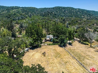 31008 Pine Canyon Rd, Lake Hughes, CA 93532