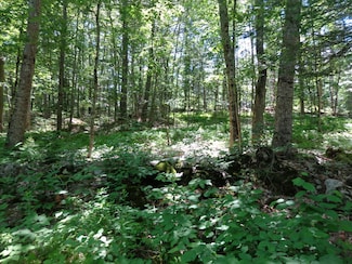 186 Back Meadow Rd, Nobleboro, ME 04555