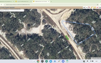 307 Cinema Dr, Lake Placid, FL 33852