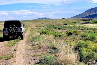 Lot 884 Rio Grande River, Mesita, CO 81152