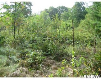 Lot  6 Hwy O, Cadott, WI 54727