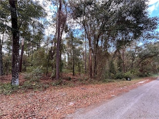 3492 S Dean Terrace, Inverness Highlands South, FL 34452
