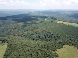 00 Calico Rd, Mountain Township, AR 72031