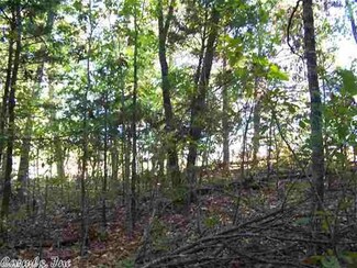 00 Silent Hill Dr, Bergman, AR 72615