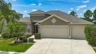 11001 Hoffner Edge Dr, Riverview, FL 33579