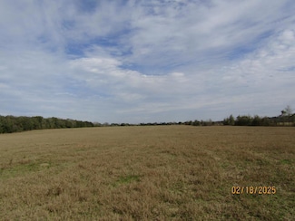 0 Sandy Oaks Rd Unit 3 925142, Newton, GA 39870