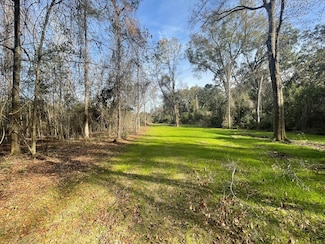 7321 Us Hwy 19 South (20 Acres), Thomasville, GA 31757