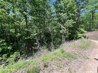 lot 55 Black Oak Lot 26 Butternut Place, Sevierville, TN 37876