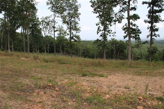 Tract 6 Mc 5039, Valley Springs, AR 72682