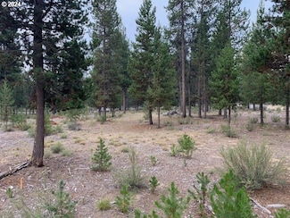 01501 Friendly Ln, Crescent, OR 97733